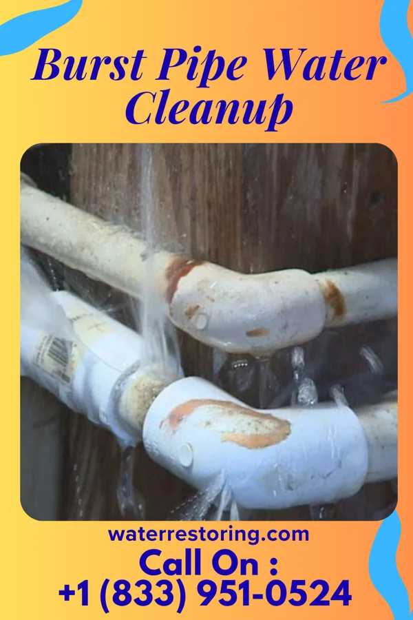 Burst Pipe Water Cleanup in West Charlotte, VT