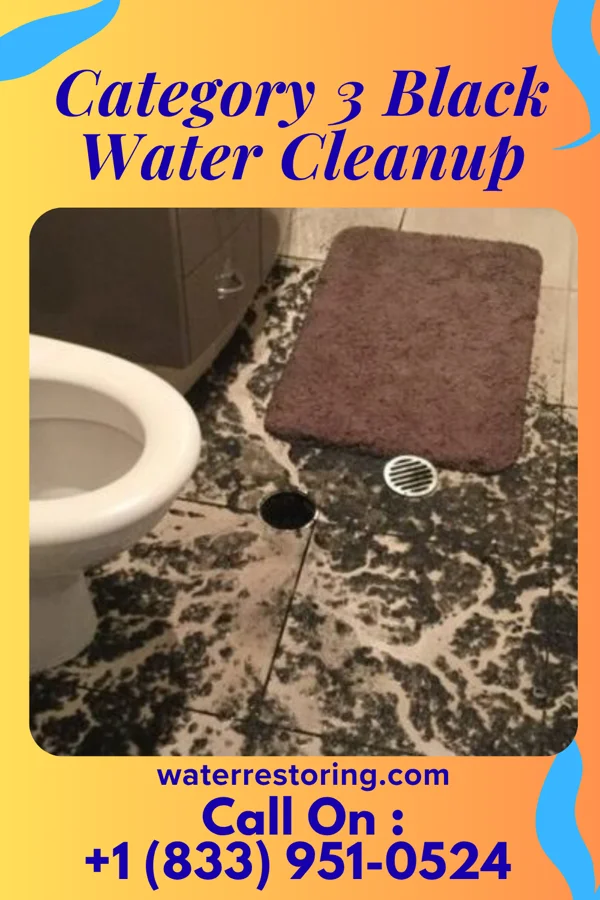 Category 3 Black Water Cleanup in West Charlotte, VT