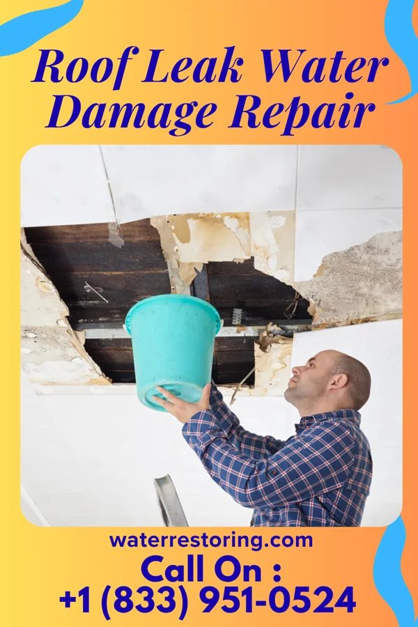 Roof Leak Water Damage Repair in West Charlotte, VT