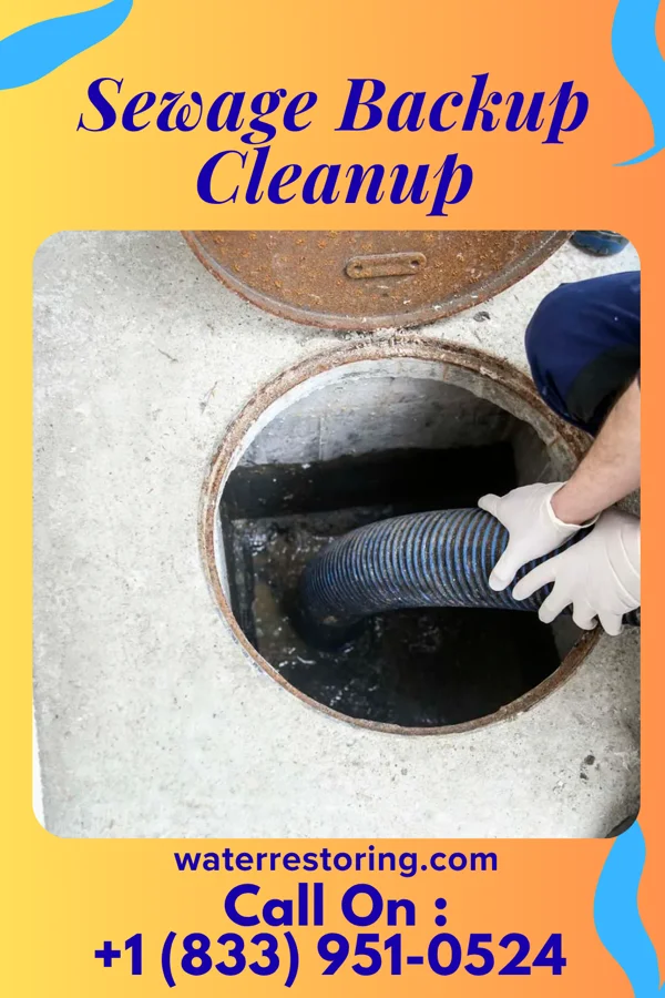 Sewage Backup Cleanup in West Charlotte, VT