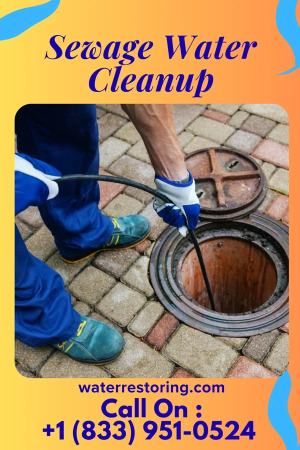 Sewage Water Cleanup in West Charlotte, VT