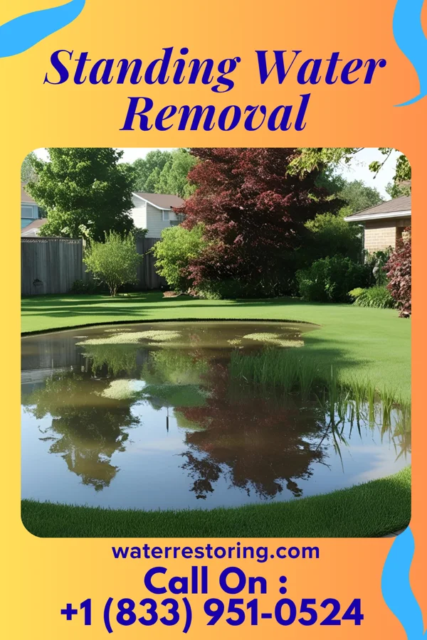 Standing Water Removal in West Charlotte, VT